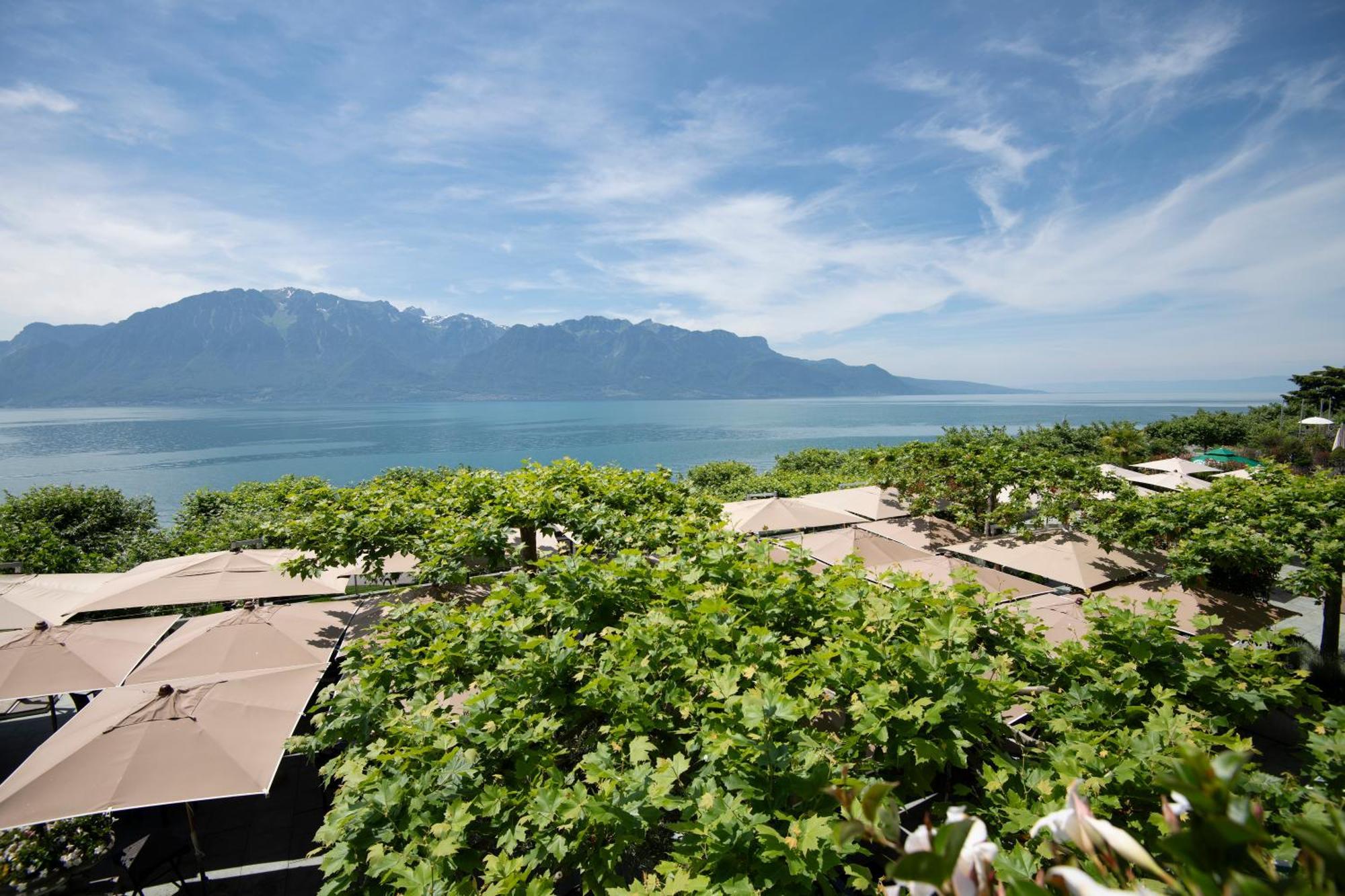 Suite mit Terrasse