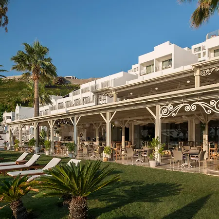 Agaya Bodrum - Adult Only-3