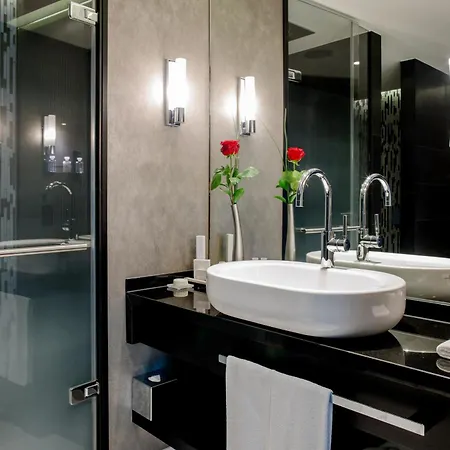 Hotel Schweizerhof Bern&Spa-2