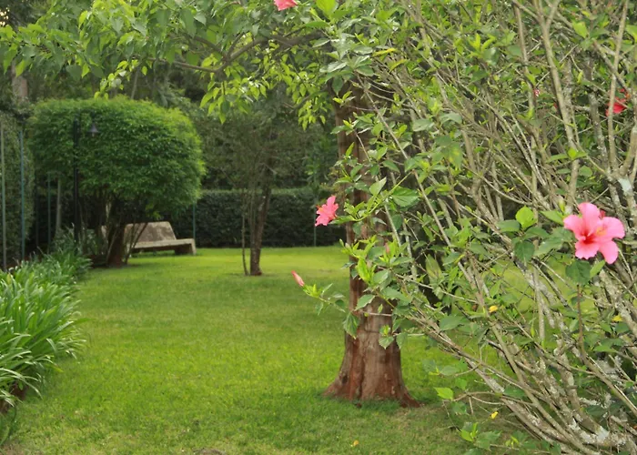 Hotel Am House Of Waine