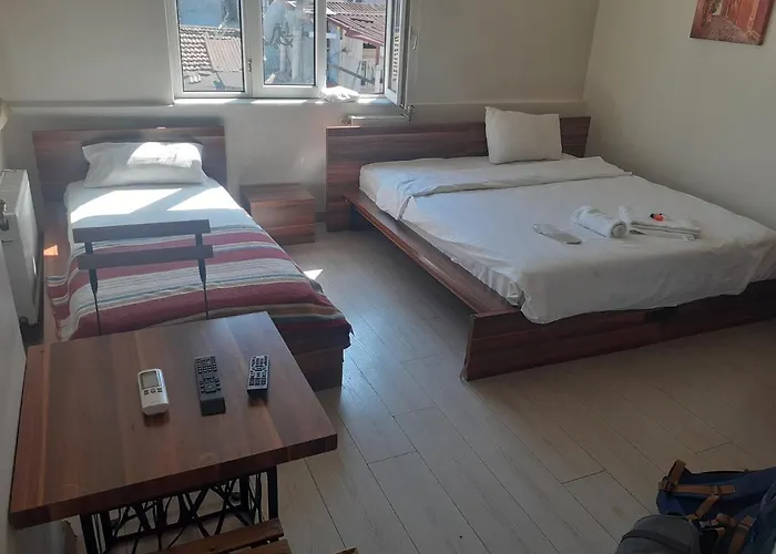 Haustierfreundliches Hotel: Medusa Apart Hotel