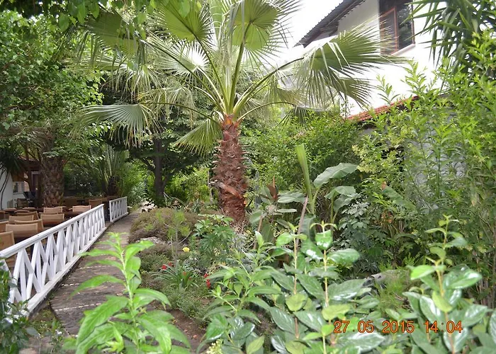 Hotel Oleander