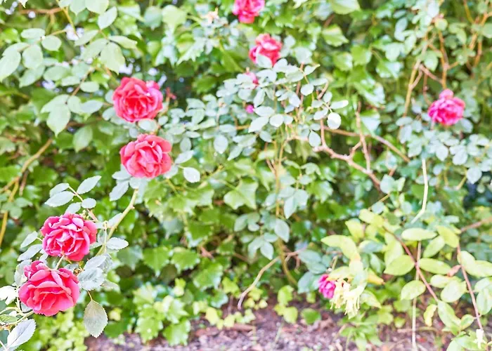 Günstiges Hotel: Villa La Gitana