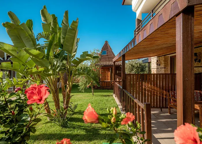 Hotel mit Pool: Sedir Park - Beach Bungalow