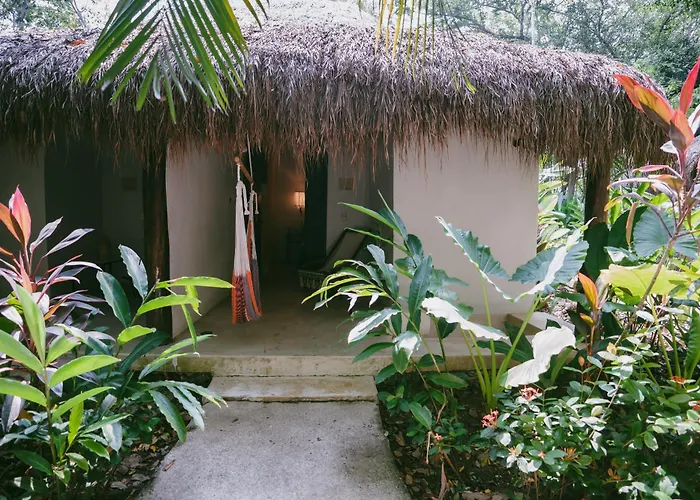 Piedra De Agua Palenque