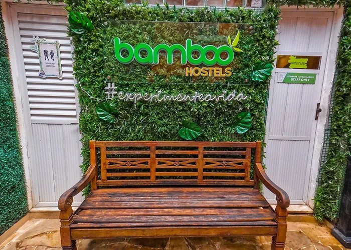  Bamboo Rio