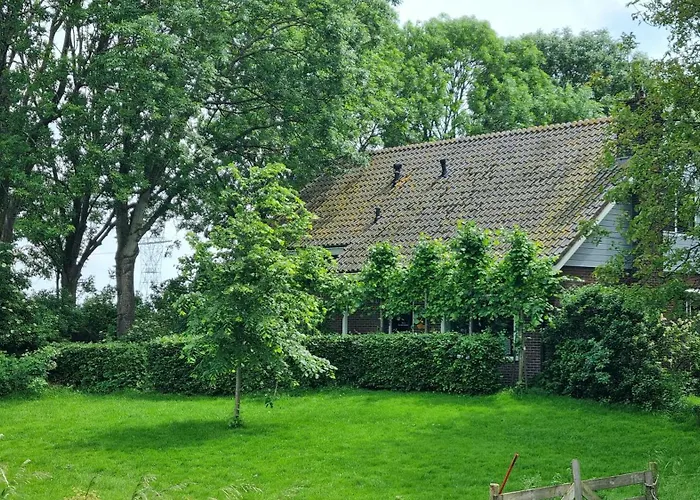 City Farmer A Guesthouse With Bikes, And Free Parking