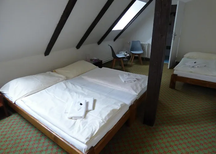 Hotel Svornost