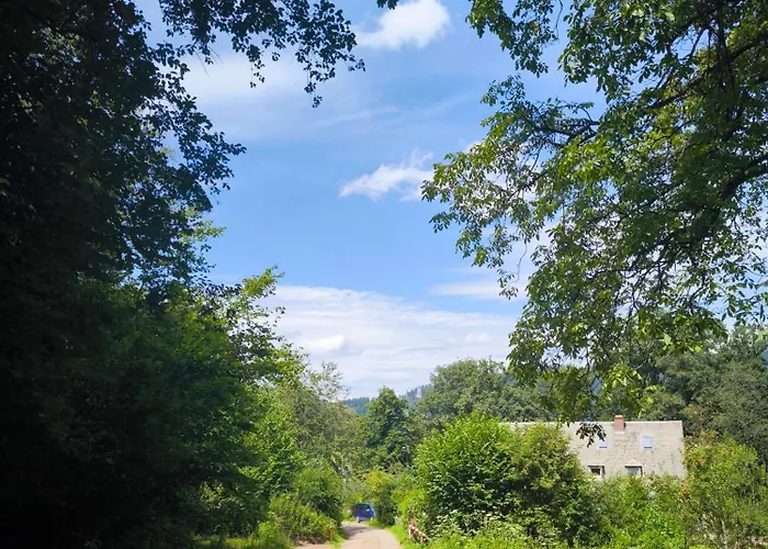 Waldblick