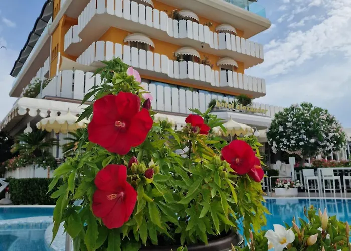 3-Sterne-Hotel: Hotel Alexander