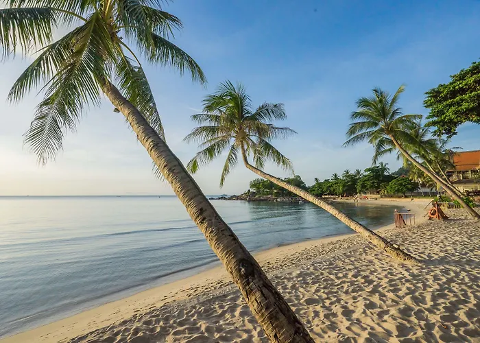 Samui Paradise Chaweng Beach Resort , SHA Plus