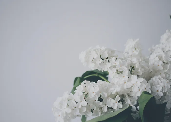 Hotel: Adel Private Suites