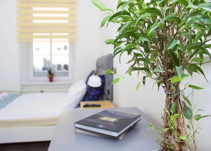 Haustierfreundliches Hotel: Chillout Hostel