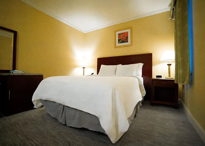 3-Sterne-Hotel: Hotel Stanford