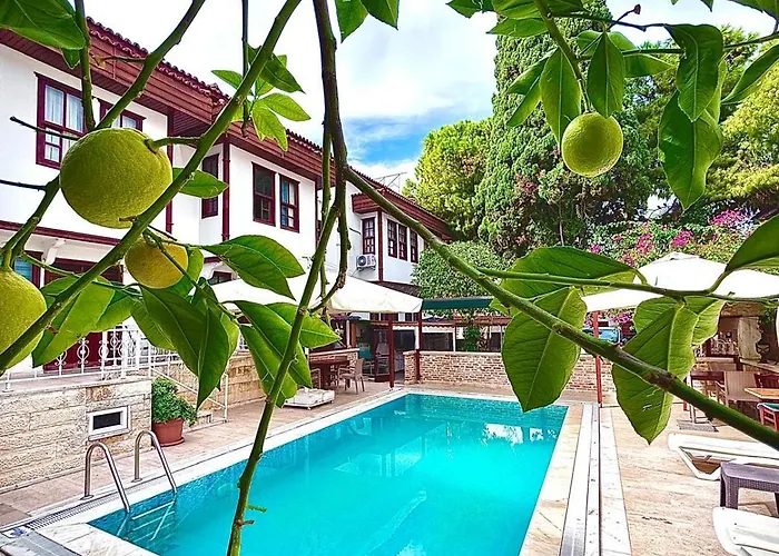 3-Sterne-Hotel: Urcu Hotel