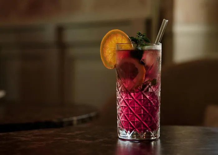 Alden Suite Hotel Splügenschloss Zurich