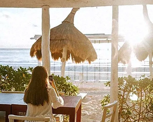 Coco Unlimited