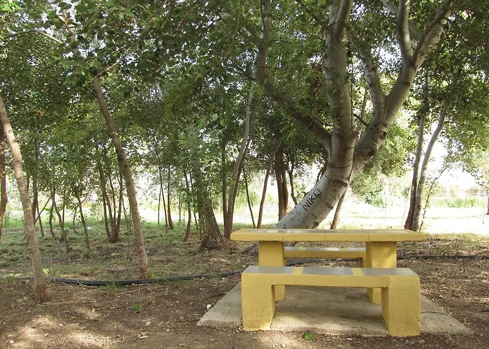 3-Sterne-Hotel: Pyli Bay